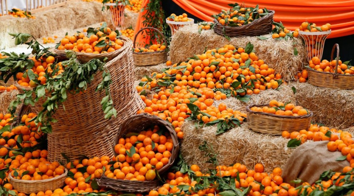 oflaz gayrimenkul-bodrum-asiklarinin-en-iyi-bildigi-durumlar-9